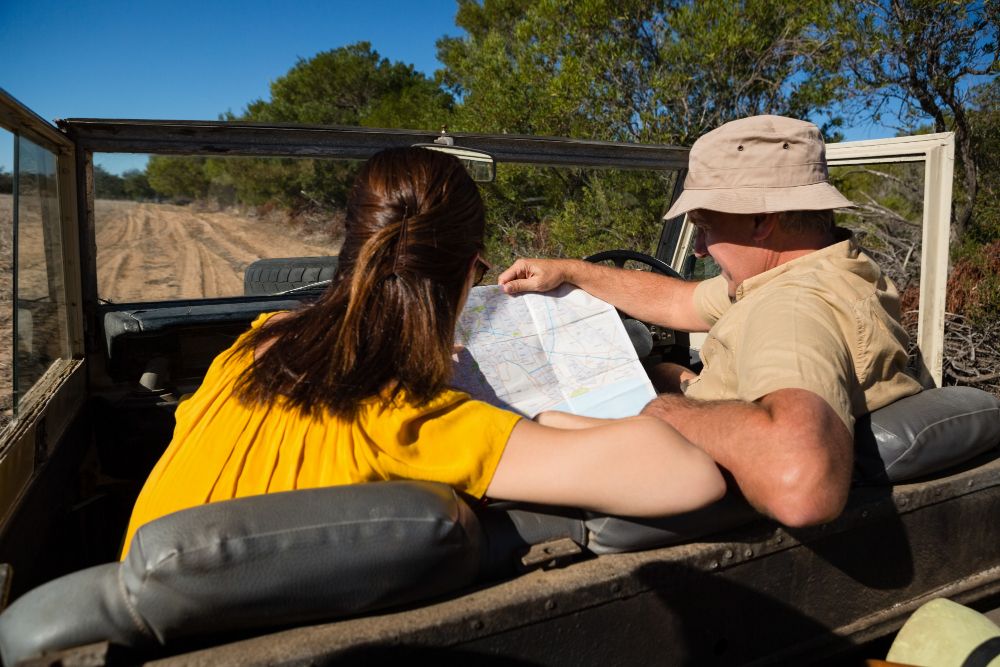 Self drive Safari