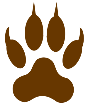 Brown lion footprint