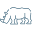 rhino