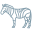 zebra